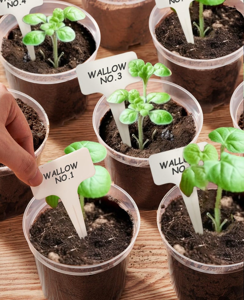 homenote Clear Nursery Pots for Plants 6.7 Inch Plant Pot for Planting Plastic Seedling Pots with Drainage Holes Seed Starter Pot Flower Pots High Transparency with 20 Plant Labels (15 Pack) - Image 5